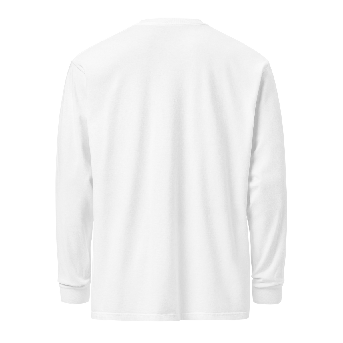 Testudo 02 Comfort Longsleeve - Product mockup