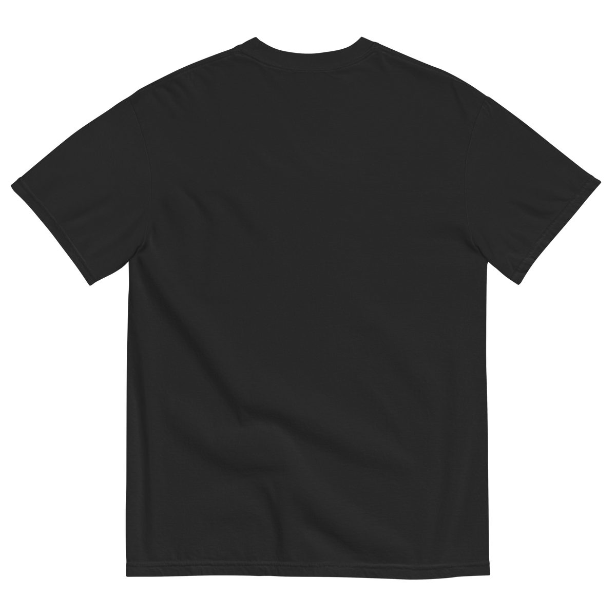 Saylor Poffenbarger 25-26 Graphic Comfort T-Shirt - Product mockup