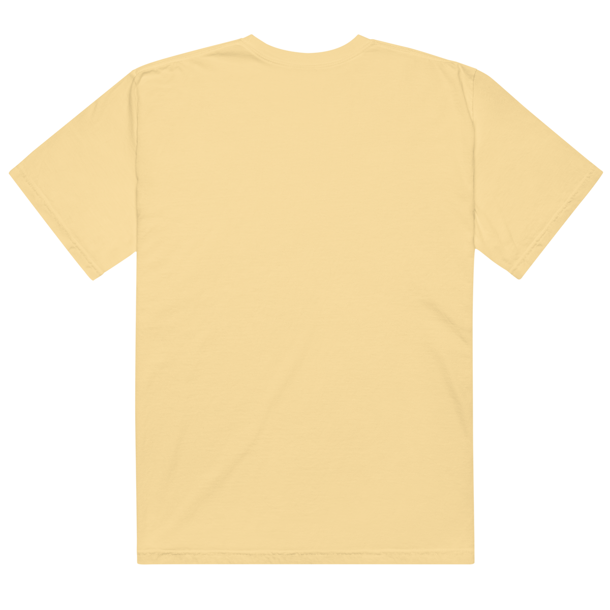 Testudo 02 Comfort T-Shirt - Product mockup