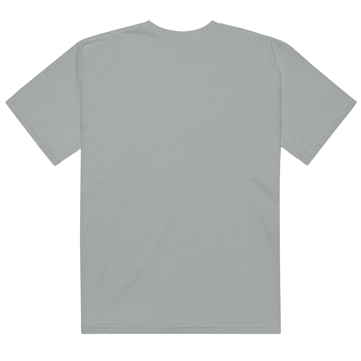 Testudo 02 Comfort T-Shirt - Product mockup