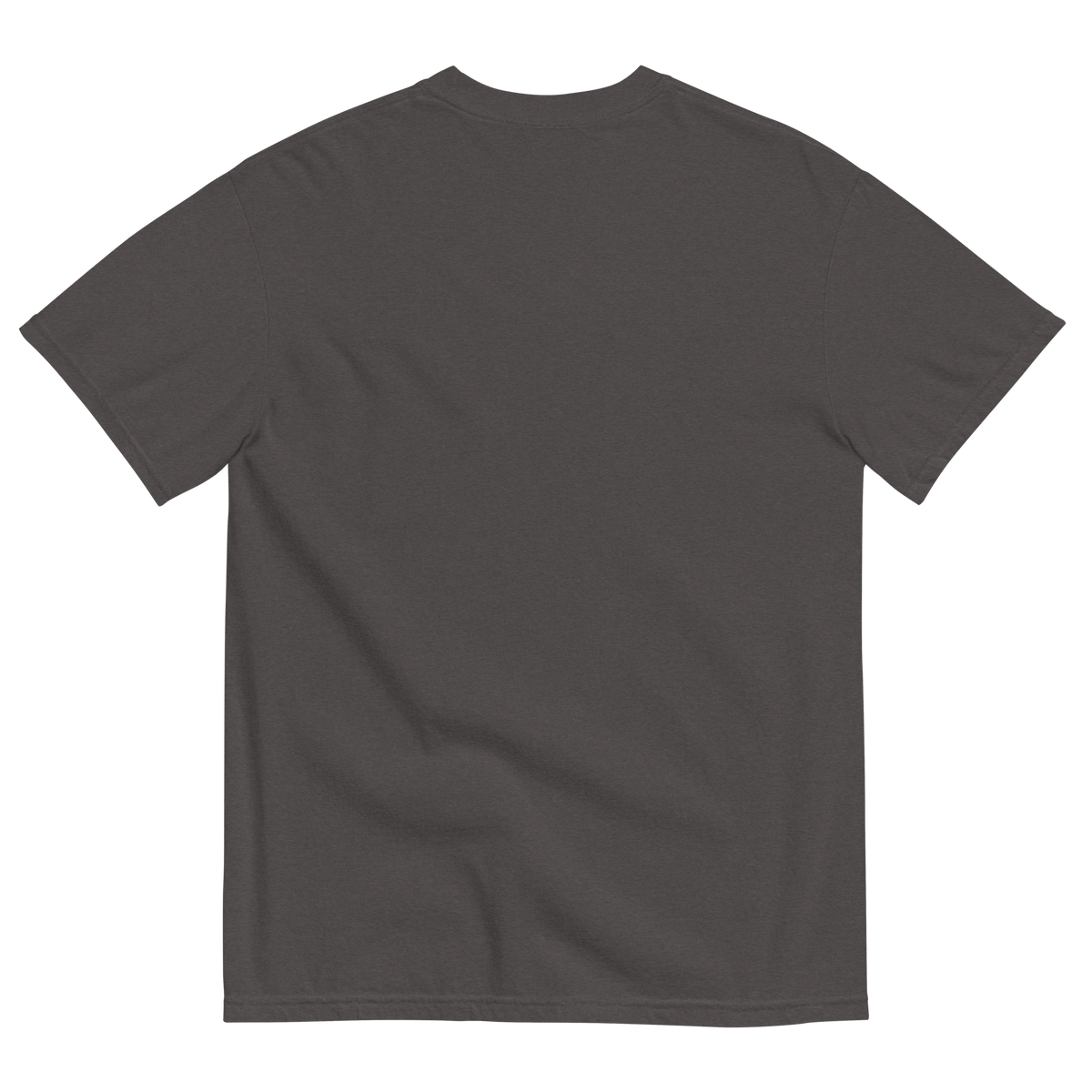 Saylor Poffenbarger 25-26 Graphic Comfort T-Shirt - Product mockup