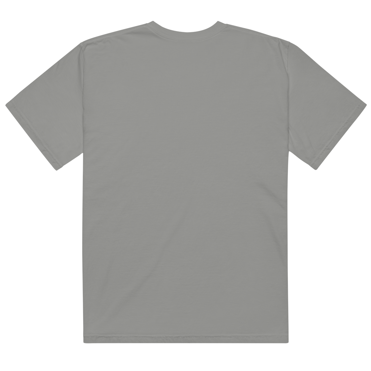 Testudo 02 Comfort T-Shirt - Product mockup