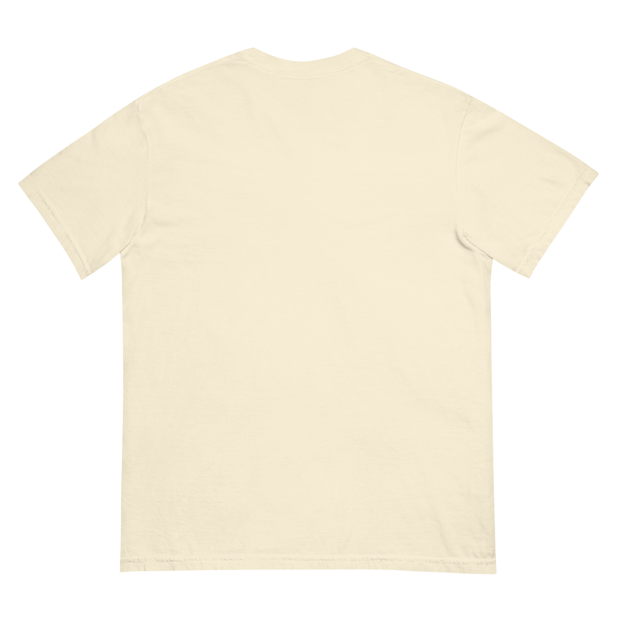 Wingate Toon Comfort Graphic Tee - Product mockup