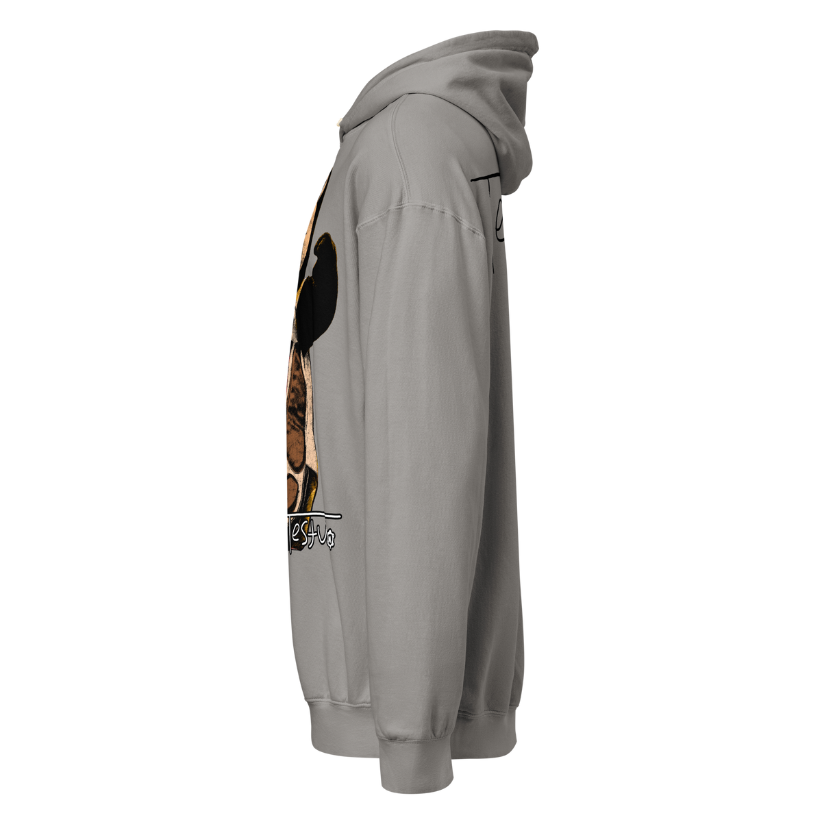 Testudo 02 V2 Comfort Hoodie - Product mockup