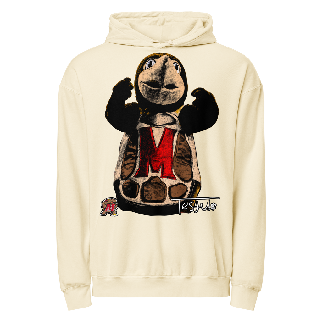 Testudo 02 V2 Comfort Hoodie - Pepper