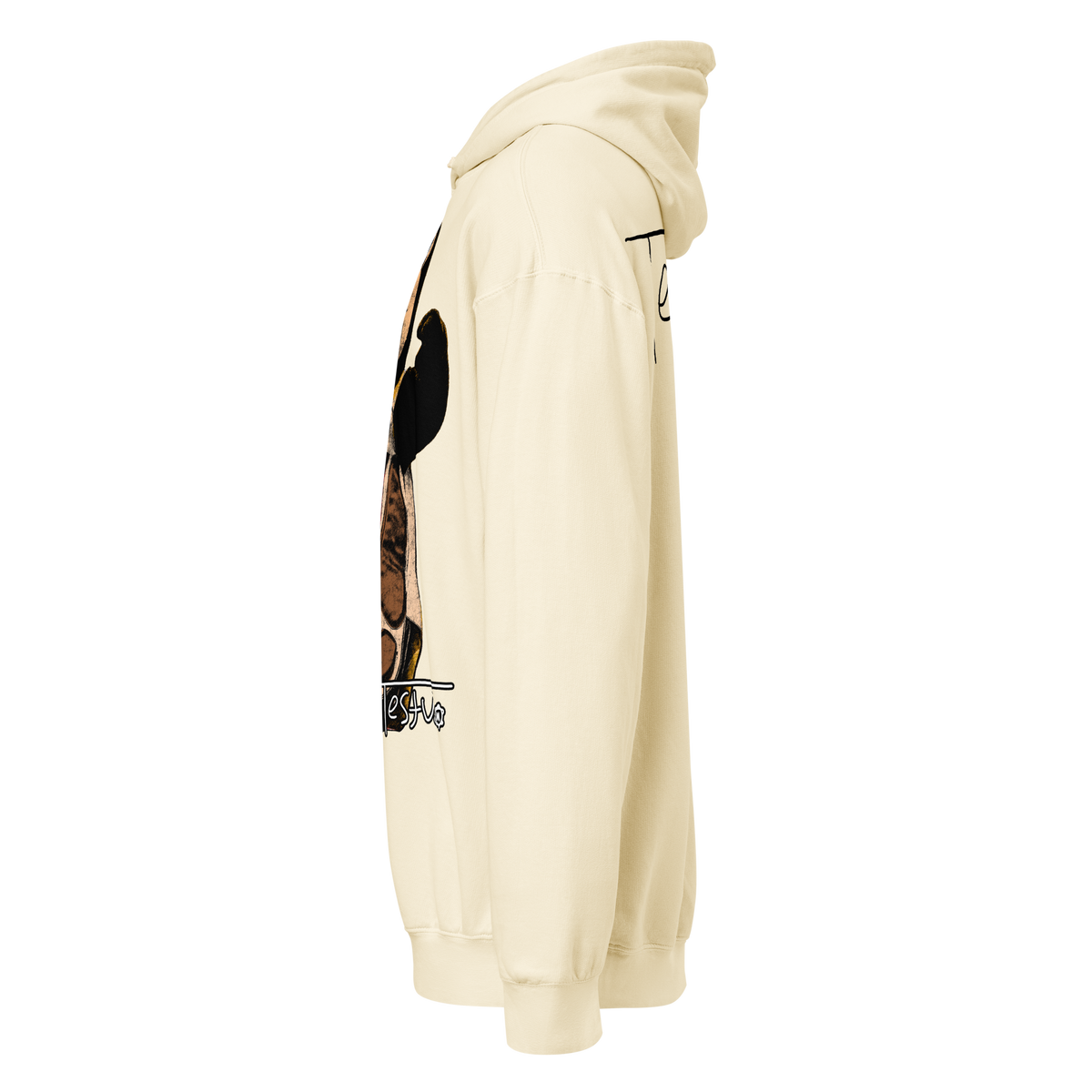 Testudo 02 V2 Comfort Hoodie - Product mockup