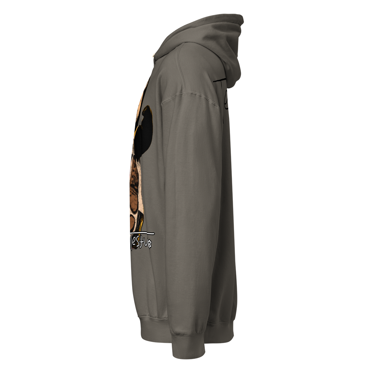 Testudo 02 V2 Comfort Hoodie - Product mockup