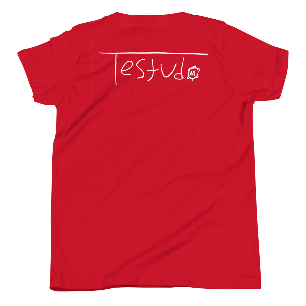 YOUTH Testudo 02 Graphic Tee - Product mockup